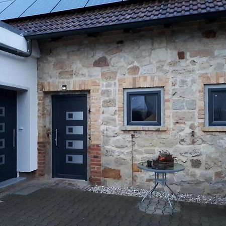 Ferienwohnung Gaensebluemchen Wartenburg Экстерьер фото