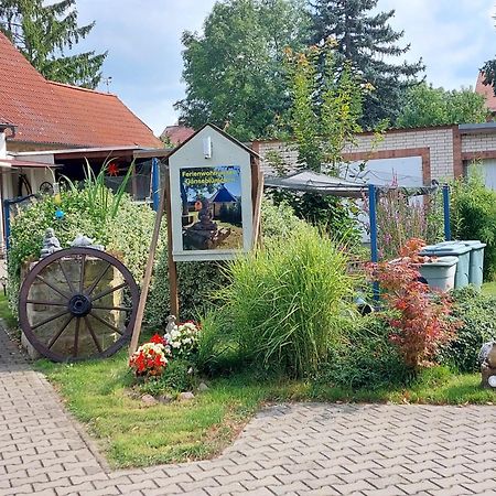 Ferienwohnung Gaensebluemchen Wartenburg Экстерьер фото