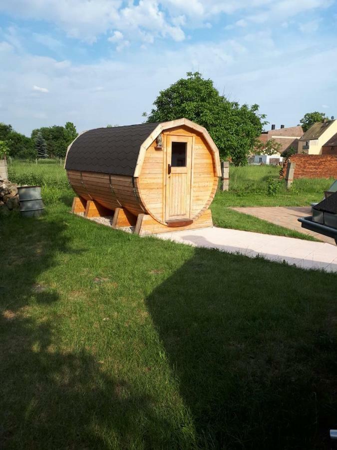 Ferienwohnung Gaensebluemchen Wartenburg Экстерьер фото